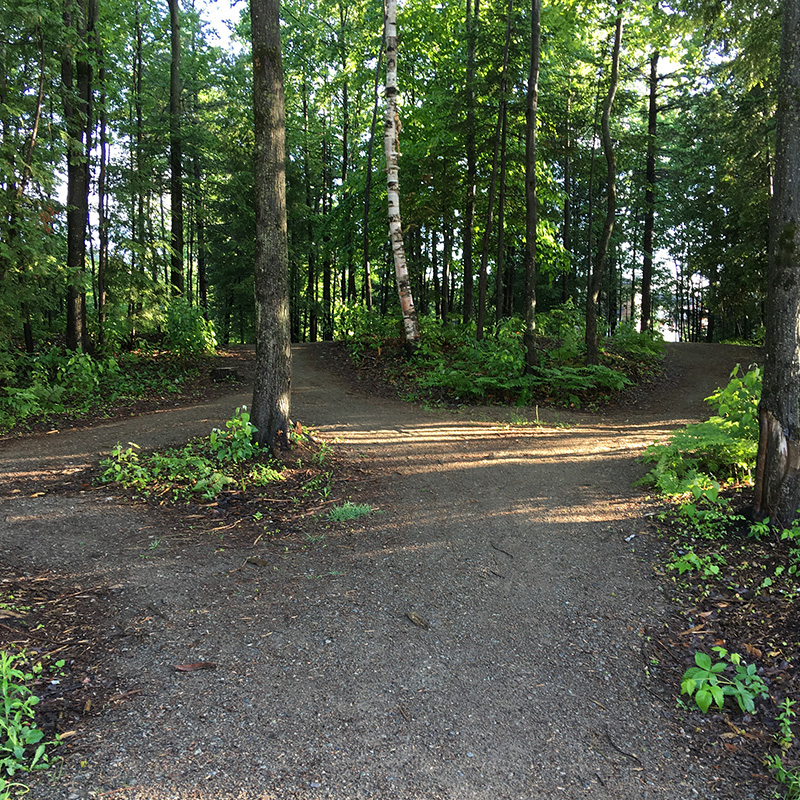 Broyage forestier - sentier 5
